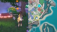 Location of the hamster puzzle in Constellation Metropole (Image via HoYoverse)